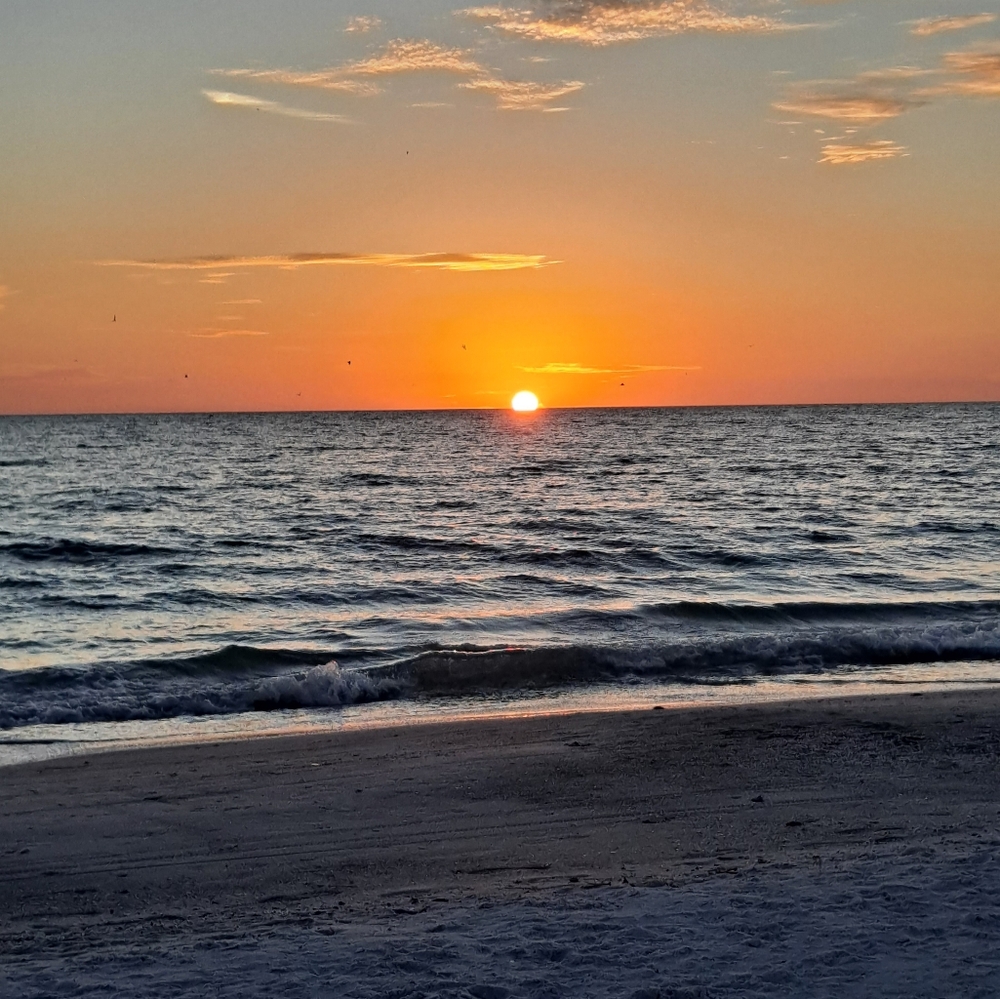 Meet your Posher, We M